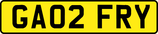 GA02FRY