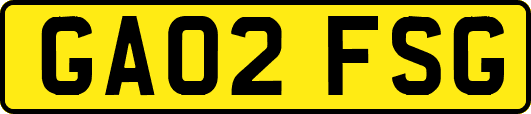 GA02FSG