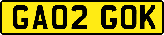 GA02GOK