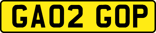 GA02GOP