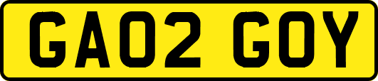 GA02GOY