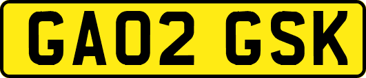 GA02GSK