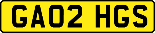 GA02HGS