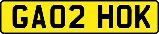 GA02HOK
