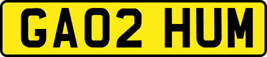 GA02HUM