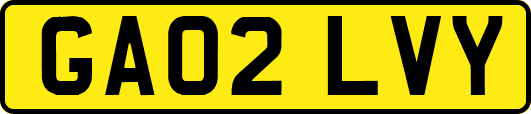 GA02LVY