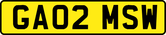 GA02MSW