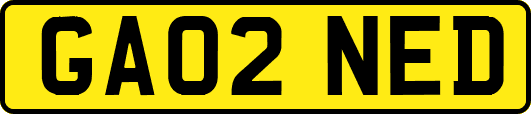 GA02NED