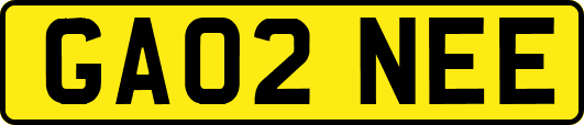 GA02NEE
