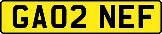 GA02NEF