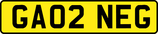 GA02NEG