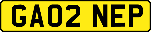 GA02NEP