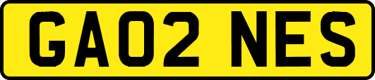 GA02NES