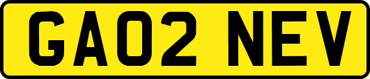 GA02NEV
