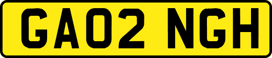 GA02NGH