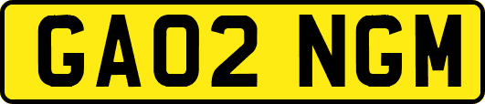GA02NGM