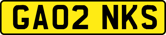 GA02NKS