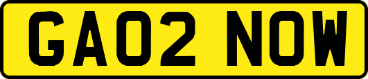 GA02NOW