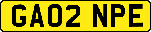 GA02NPE