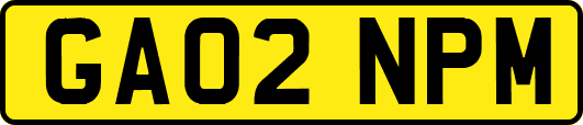 GA02NPM