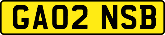 GA02NSB
