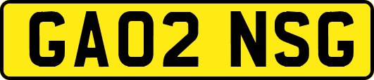 GA02NSG