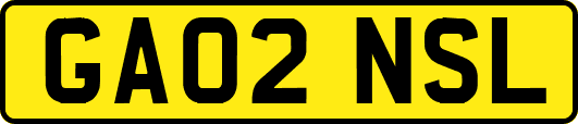 GA02NSL
