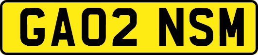 GA02NSM