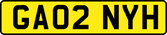 GA02NYH