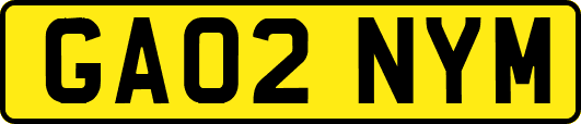 GA02NYM