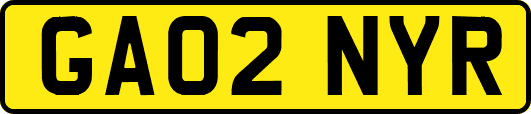 GA02NYR