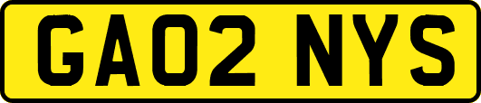 GA02NYS
