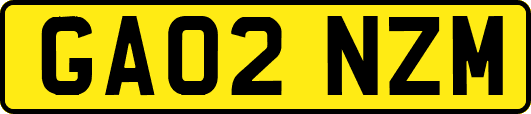 GA02NZM