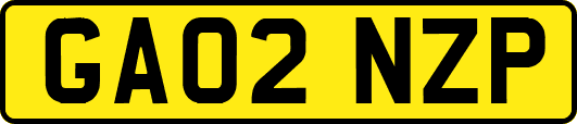 GA02NZP