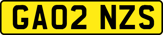 GA02NZS