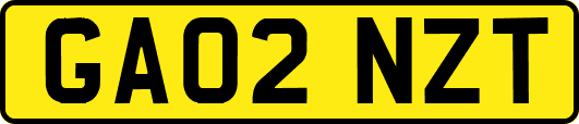 GA02NZT