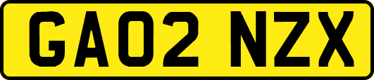 GA02NZX
