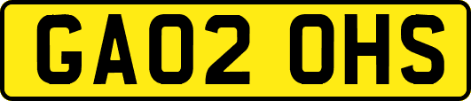 GA02OHS