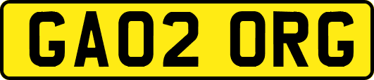 GA02ORG