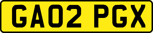 GA02PGX