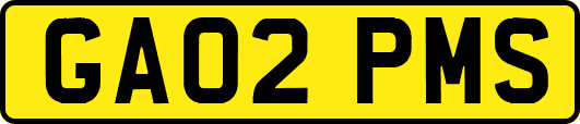 GA02PMS