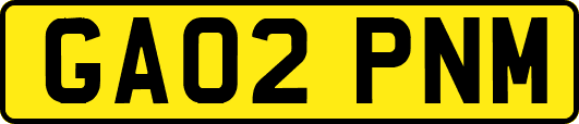 GA02PNM