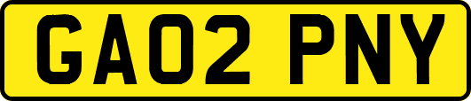 GA02PNY