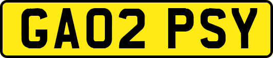 GA02PSY