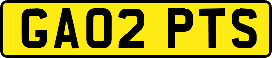 GA02PTS