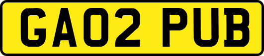 GA02PUB