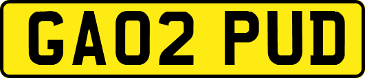 GA02PUD
