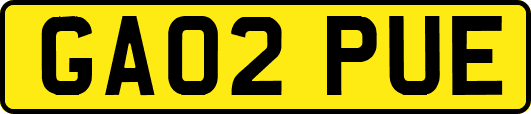 GA02PUE
