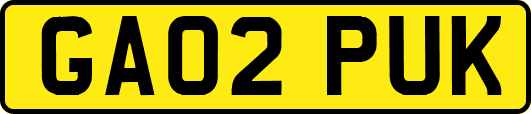 GA02PUK