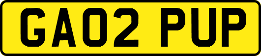 GA02PUP